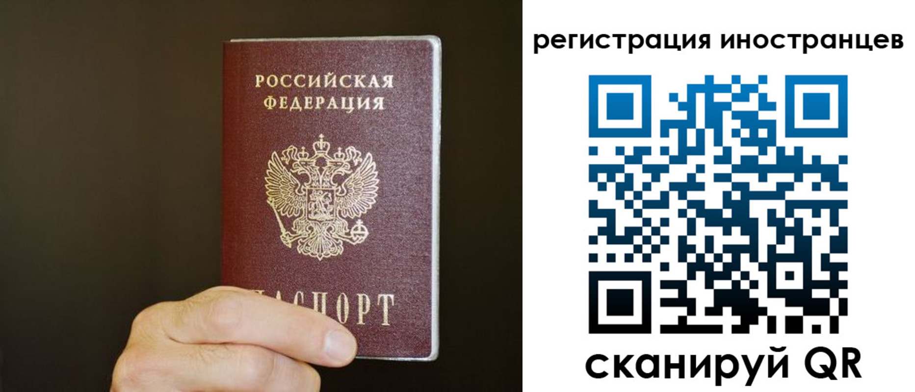 прописка в Ржеве